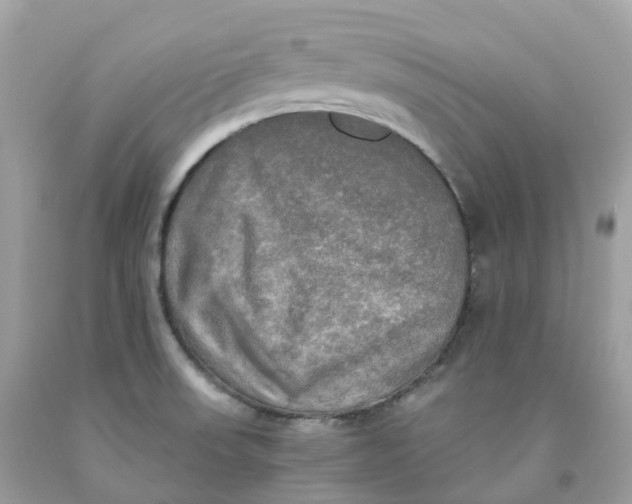 X0000091481523200709061828