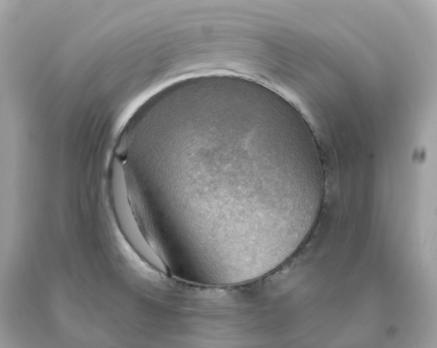 X0000091481524200709061828