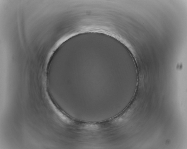 X0000091481525200709061828