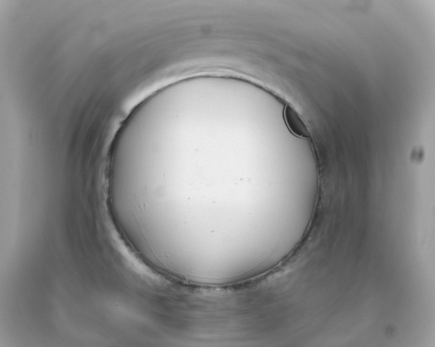 X0000091481526200709061828