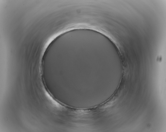 X0000091481527200709061828