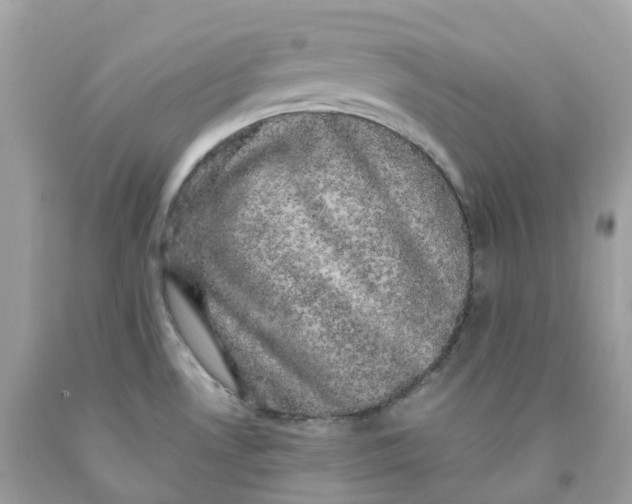 X0000091481530200709061828