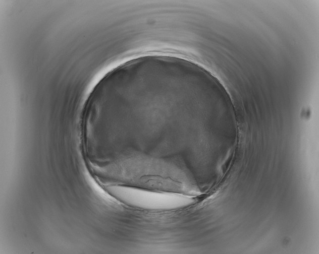 X0000091481531200709061828