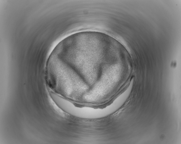 X0000091481532200709061828