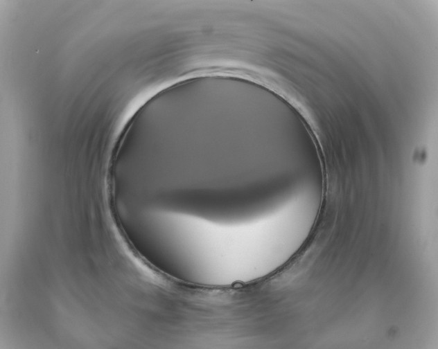 X0000091481533200709061828