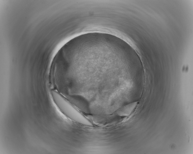 X0000091481536200709061828