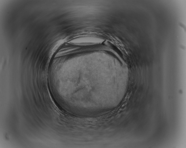 X0000091480003200709131820