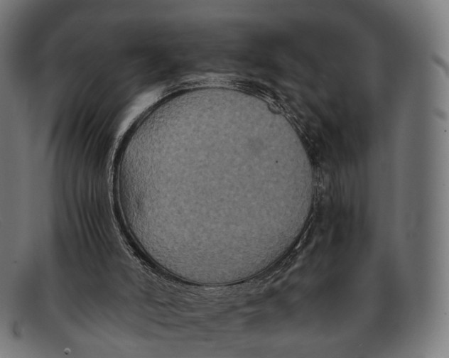 X0000091480006200709131820