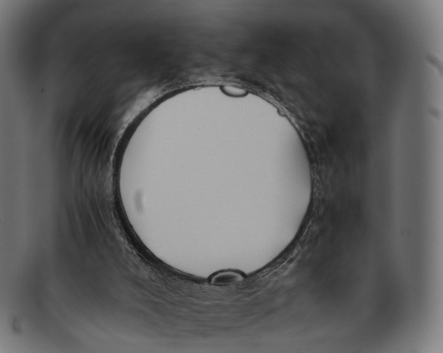 X0000091480008200709131820