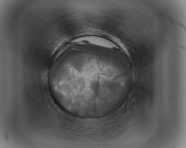 X0000091480010200709131820