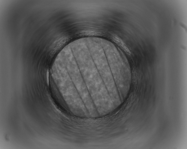 X0000091480014200709131820