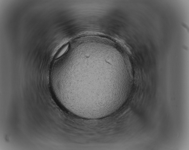 X0000091480015200709131820