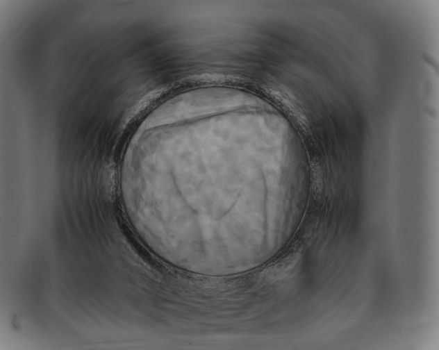 X0000091480016200709131820