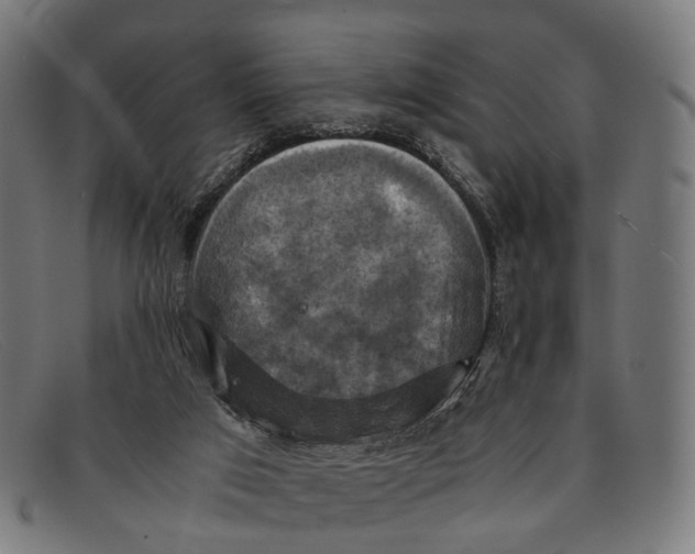 X0000091480017200709131820