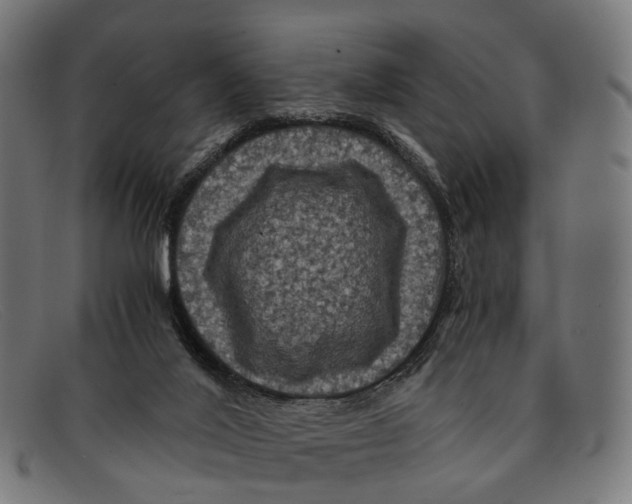 X0000091480020200709131820