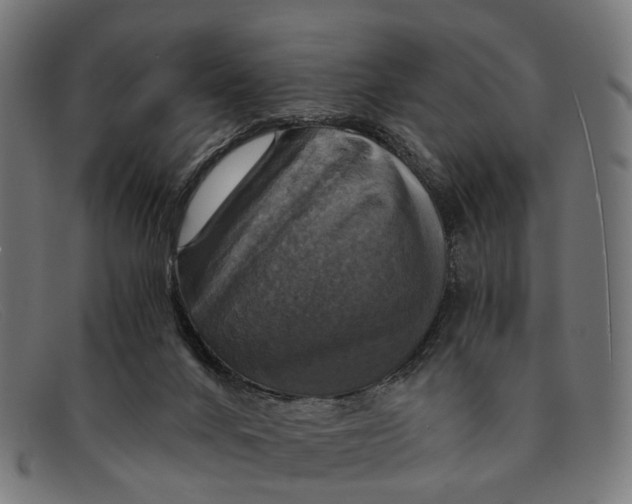 X0000091480024200709131820