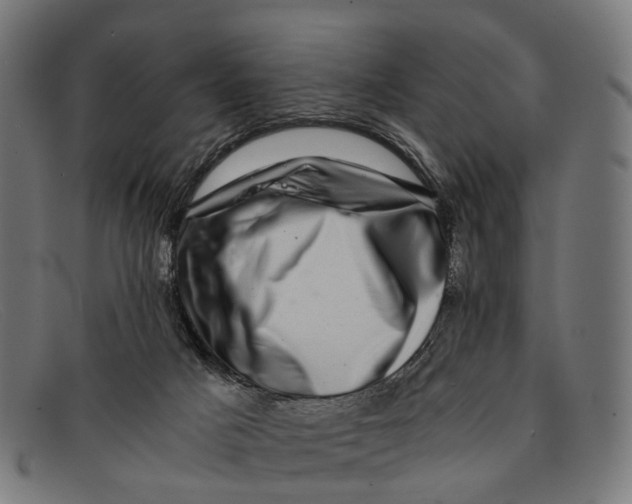 X0000091480025200709131820