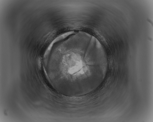 X0000091480026200709131820