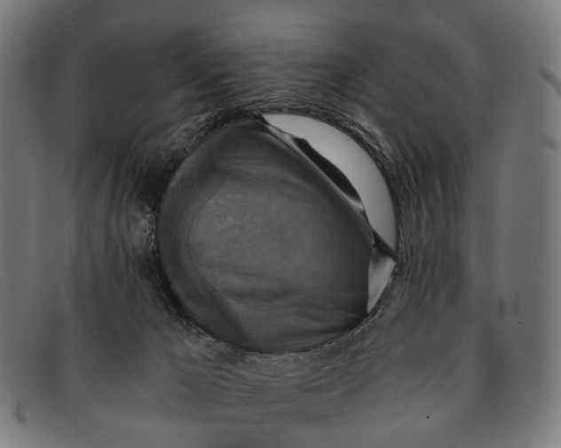 X0000091480029200709131820