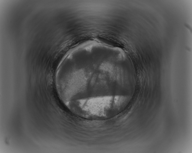 X0000091480032200709131820