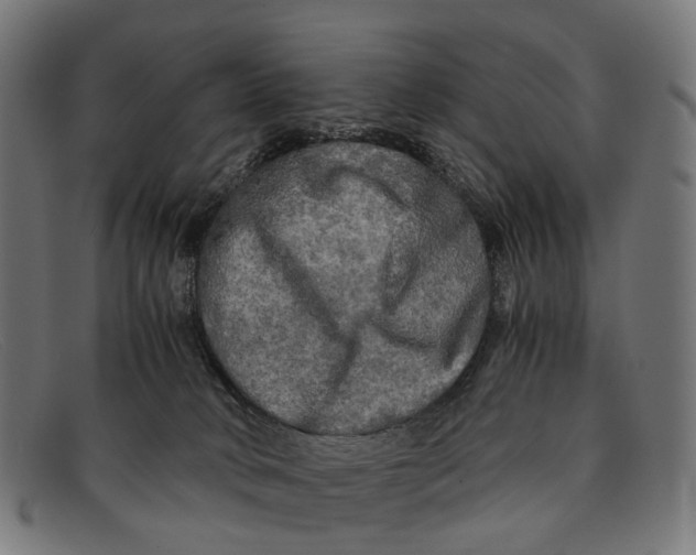 X0000091480034200709131820