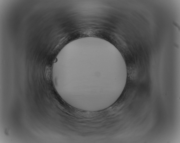 X0000091480036200709131820