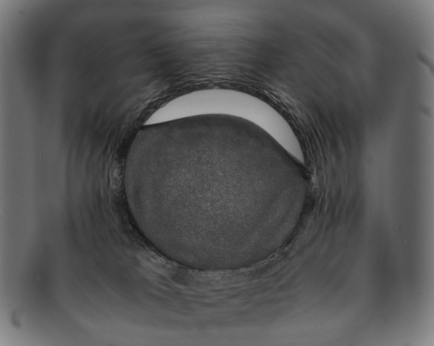 X0000091480037200709131820