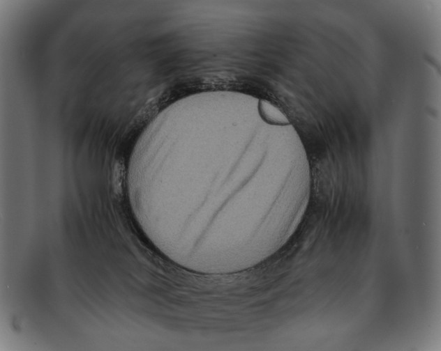 X0000091480038200709131820