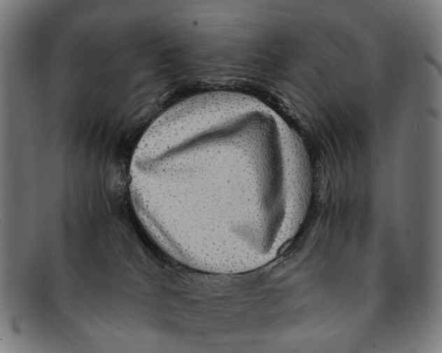 X0000091480040200709131820