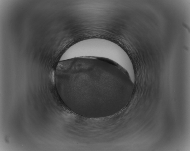 X0000091480041200709131820