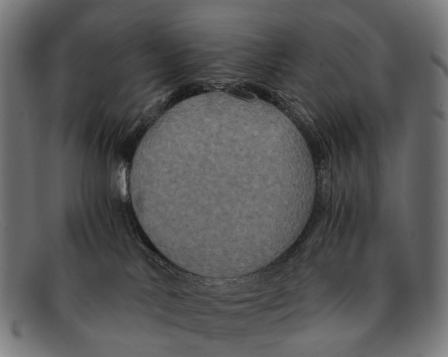 X0000091480042200709131820