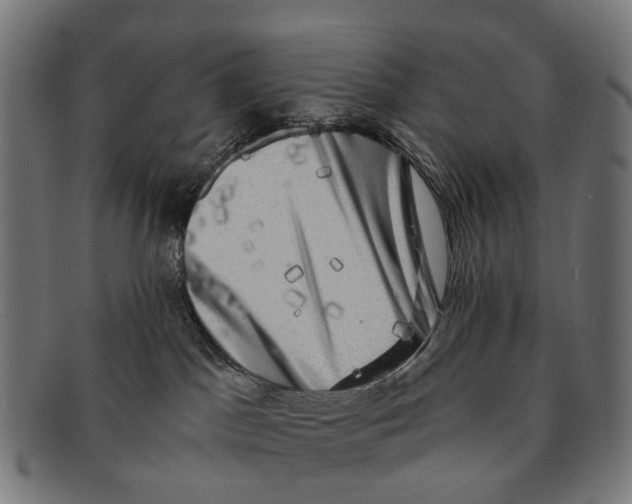 X0000091480045200709131820