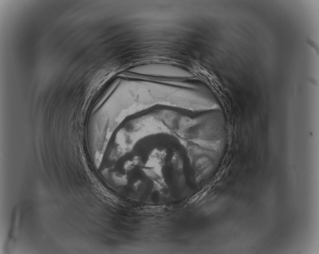 X0000091480049200709131819