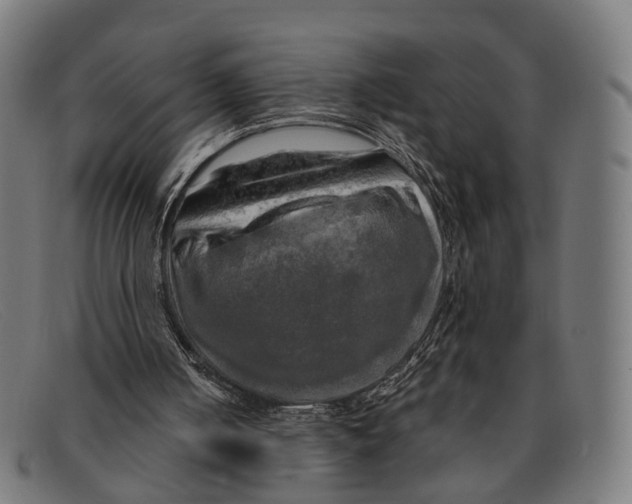 X0000091480050200709131819