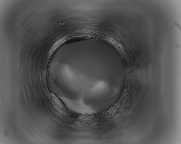 X0000091480051200709131819