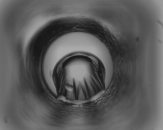 X0000091480052200709131819