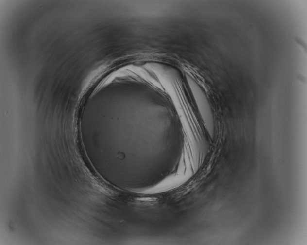 X0000091480053200709131819