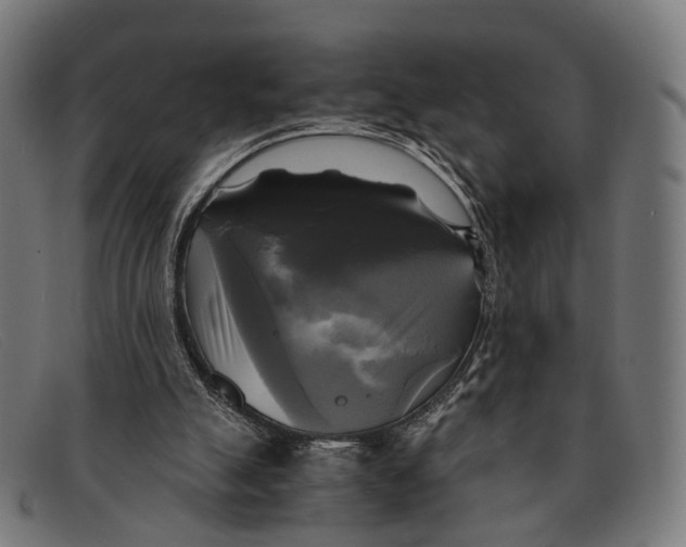 X0000091480055200709131819