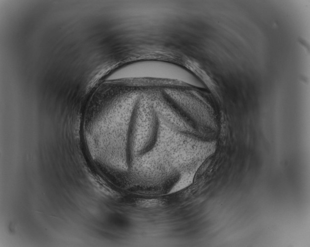 X0000091480058200709131819