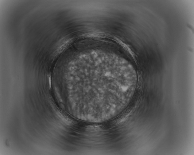 X0000091480061200709131819