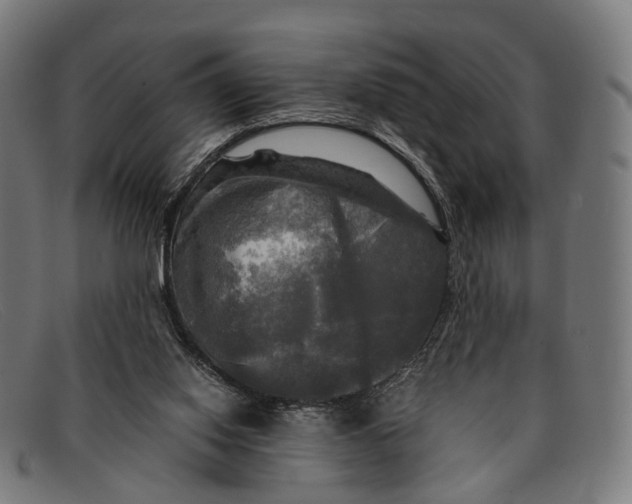 X0000091480062200709131819