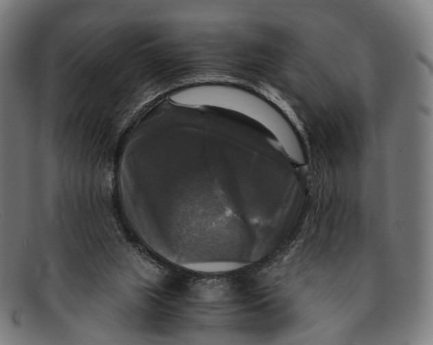 X0000091480063200709131819