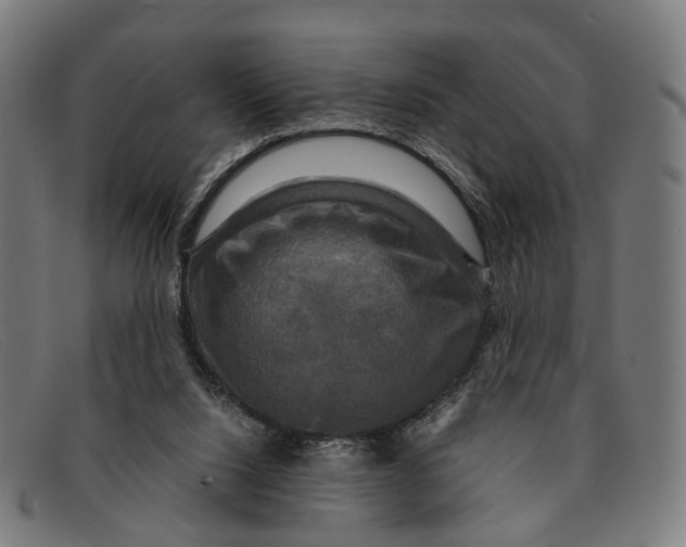 X0000091480064200709131819