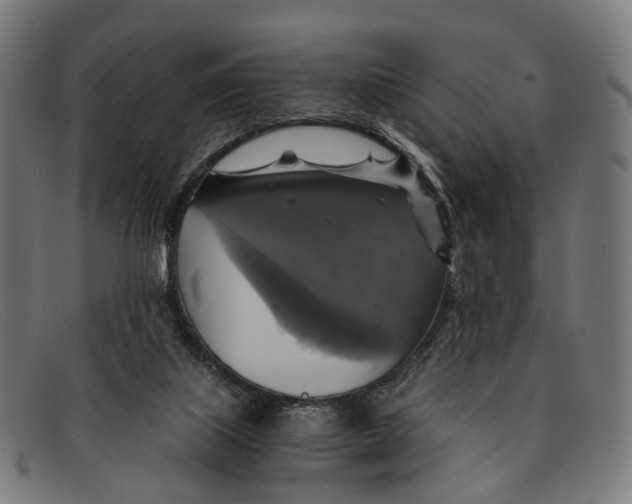 X0000091480067200709131819