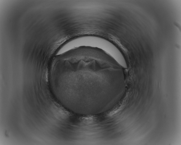 X0000091480068200709131819