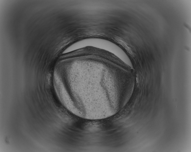 X0000091480071200709131819