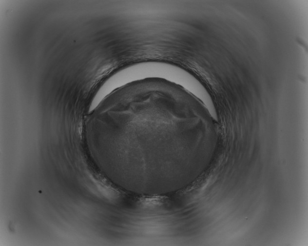 X0000091480072200709131819