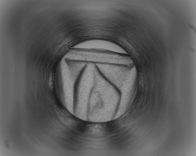 X0000091480074200709131819