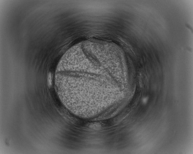 X0000091480075200709131819