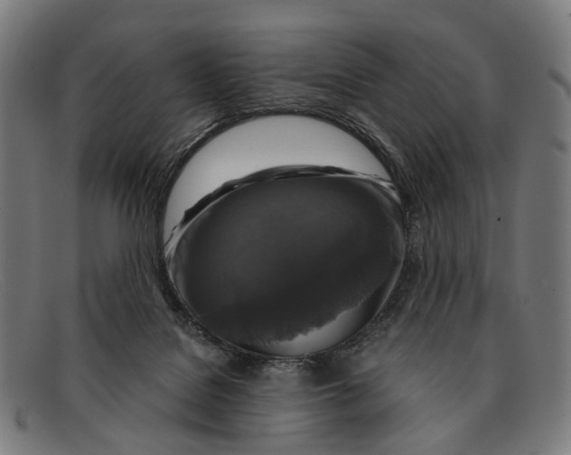 X0000091480076200709131819